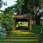 Thảo Viên Resort